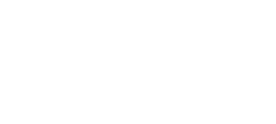 bnr_half_company_on